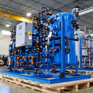 Separate Bed Deionization Skid 03